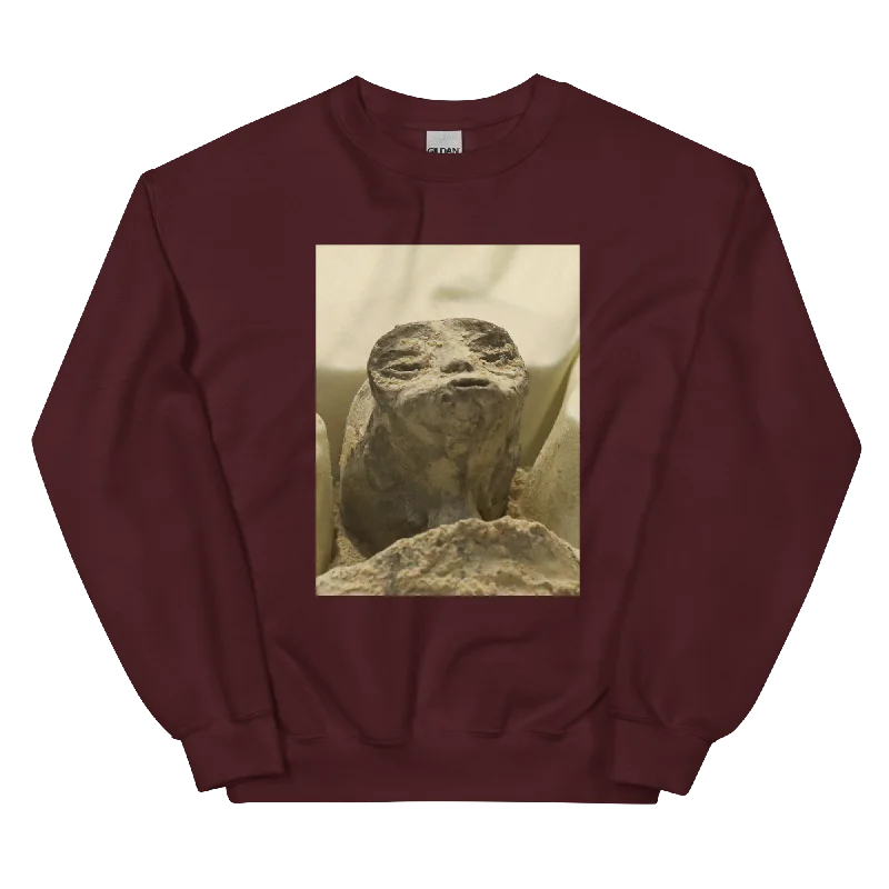 A Millennium Nap Unisex Sweatshirt Hoodie with Hem Contrast Bold Stylish