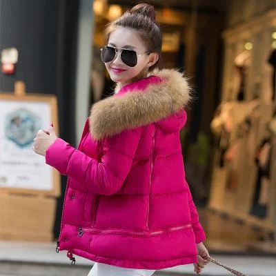warm coat 2