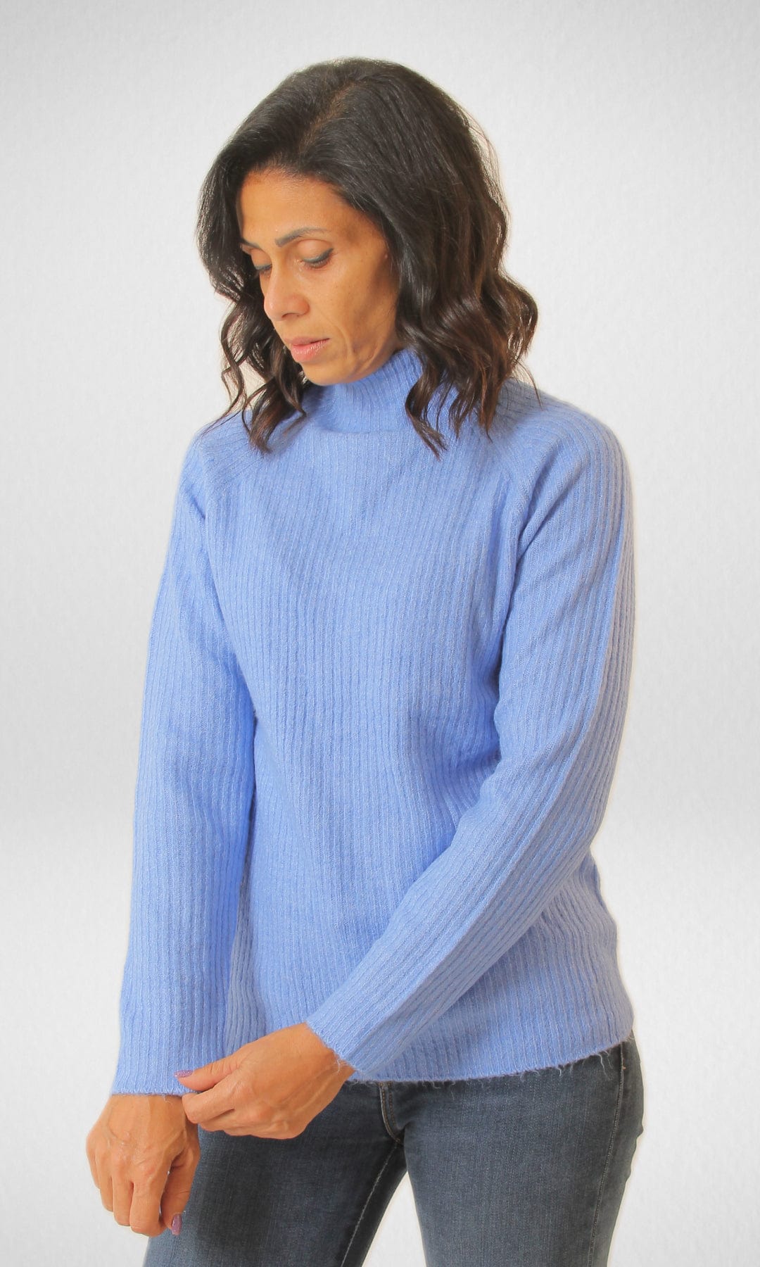 Amisu High Collar Women Pullover - Blue Besom Neck Pullover